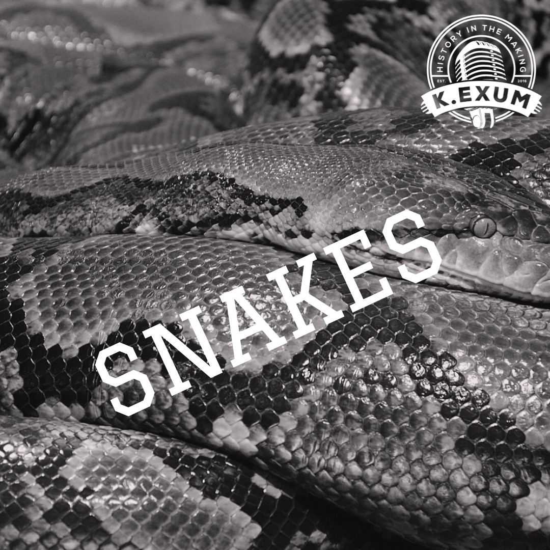 Snakes (Spoken Word)